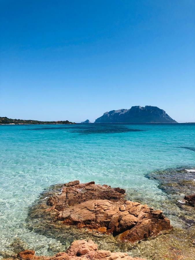 Bauernhof La Rocca Manna San Teodoro (Sardinia)